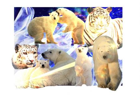 mon montage