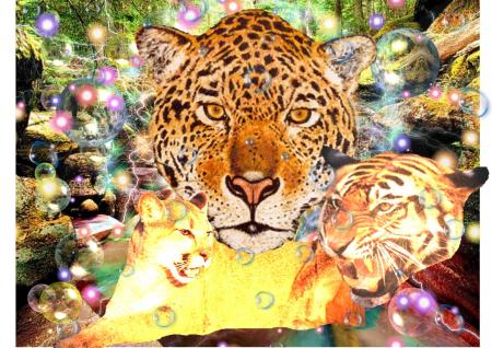 TOUJOURS ET ENCOR UN MONTAGE